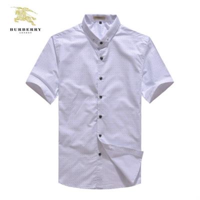 Burberry Men Shirts-739